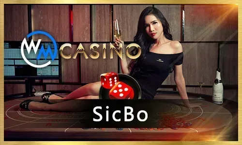 Live casino dealer